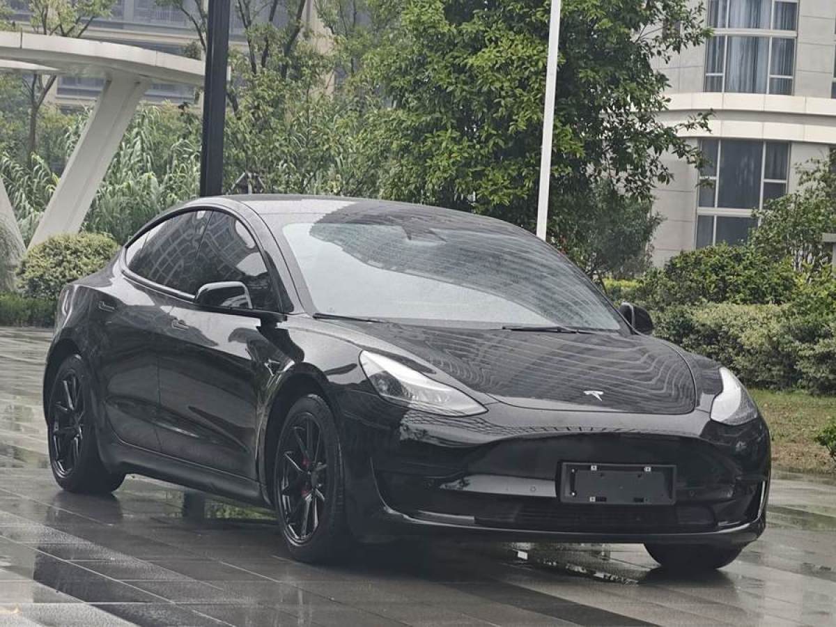 特斯拉 Model 3  2019款 標(biāo)準(zhǔn)續(xù)航后驅(qū)升級版圖片