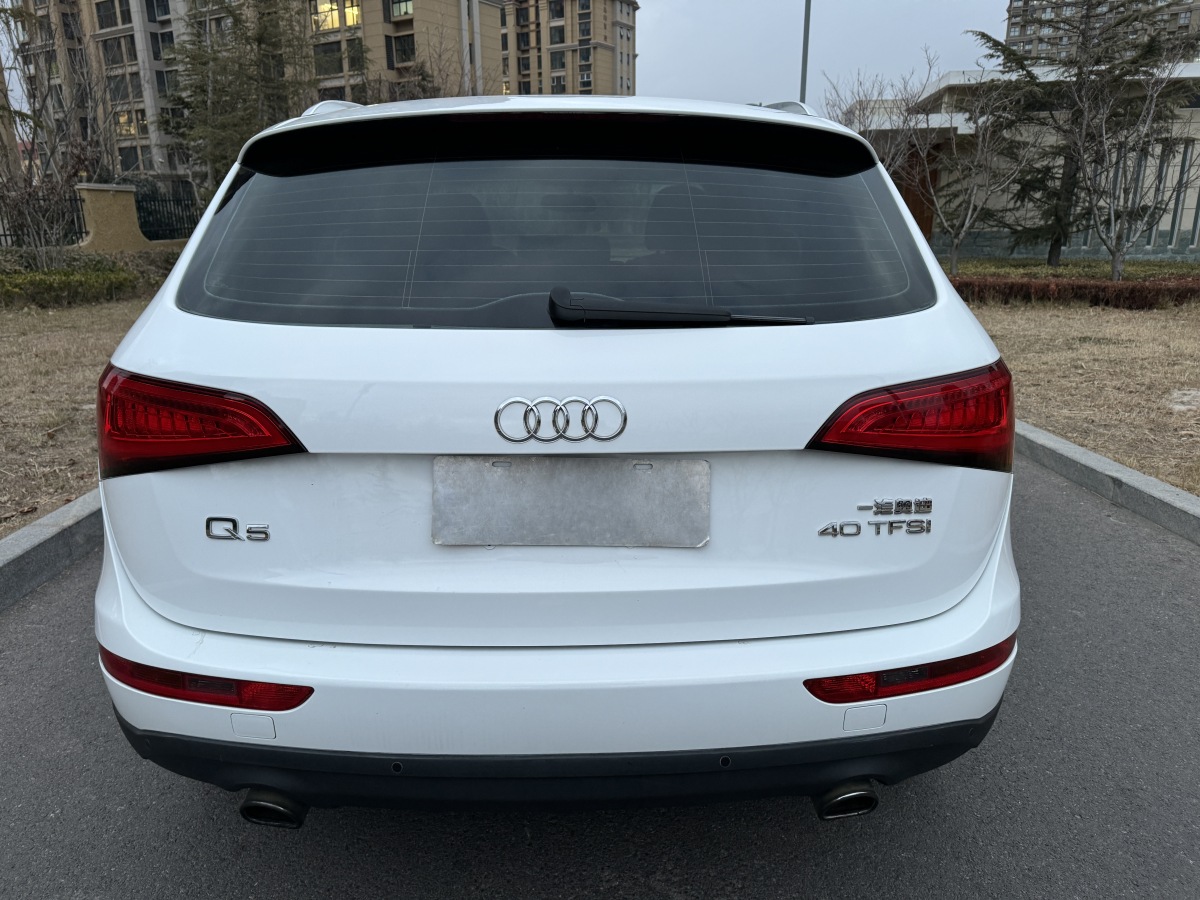 奧迪 奧迪Q5  2013款 40 TFSI 技術(shù)型圖片