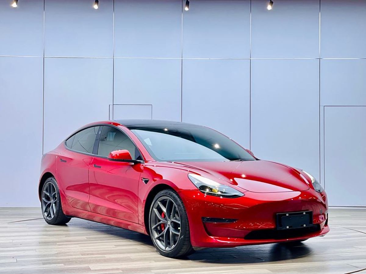 特斯拉 Model 3  2021款 Performance高性能全輪驅動版 3D6圖片