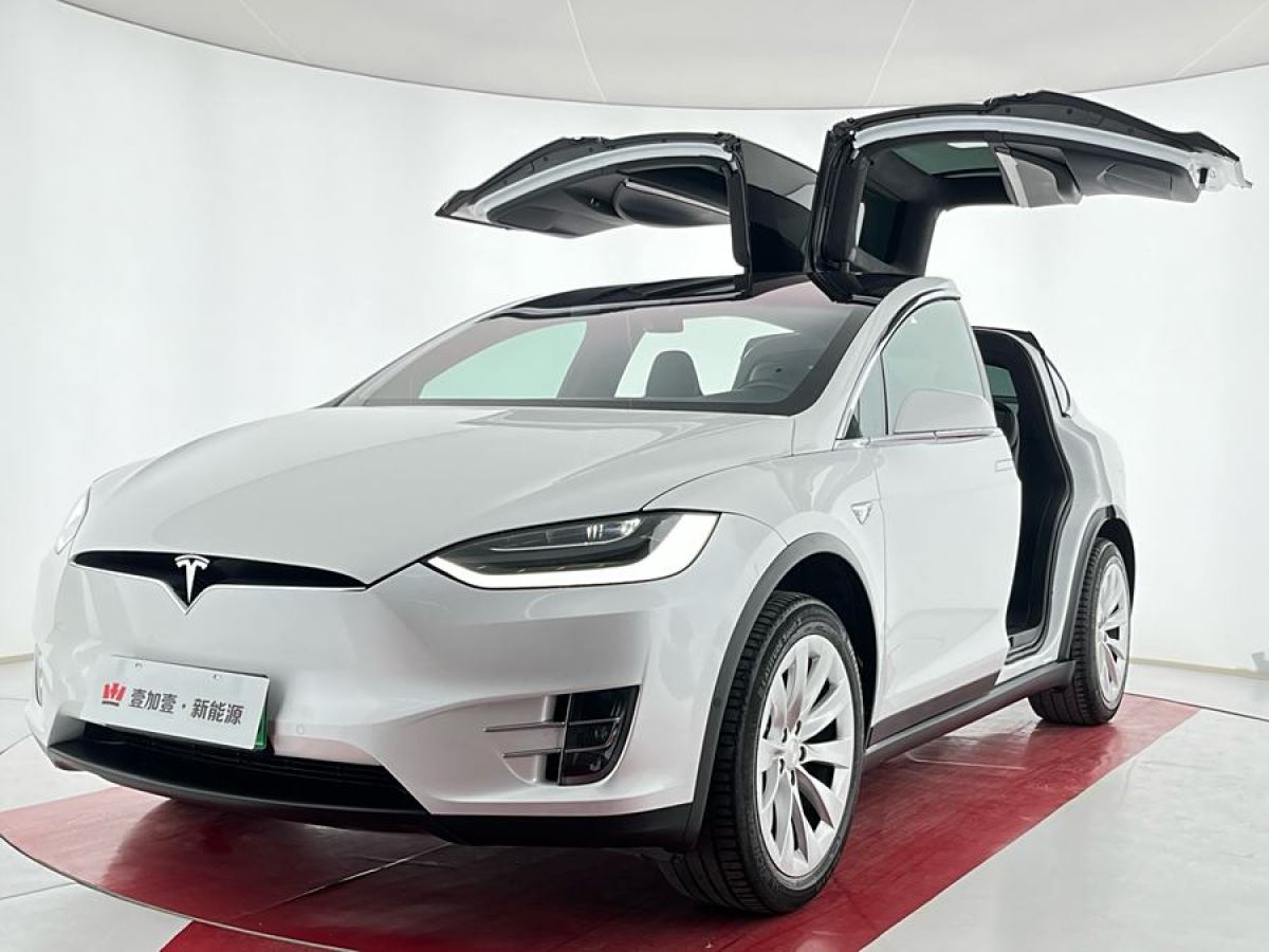 2019年9月特斯拉 Model X  2019款 長續(xù)航版