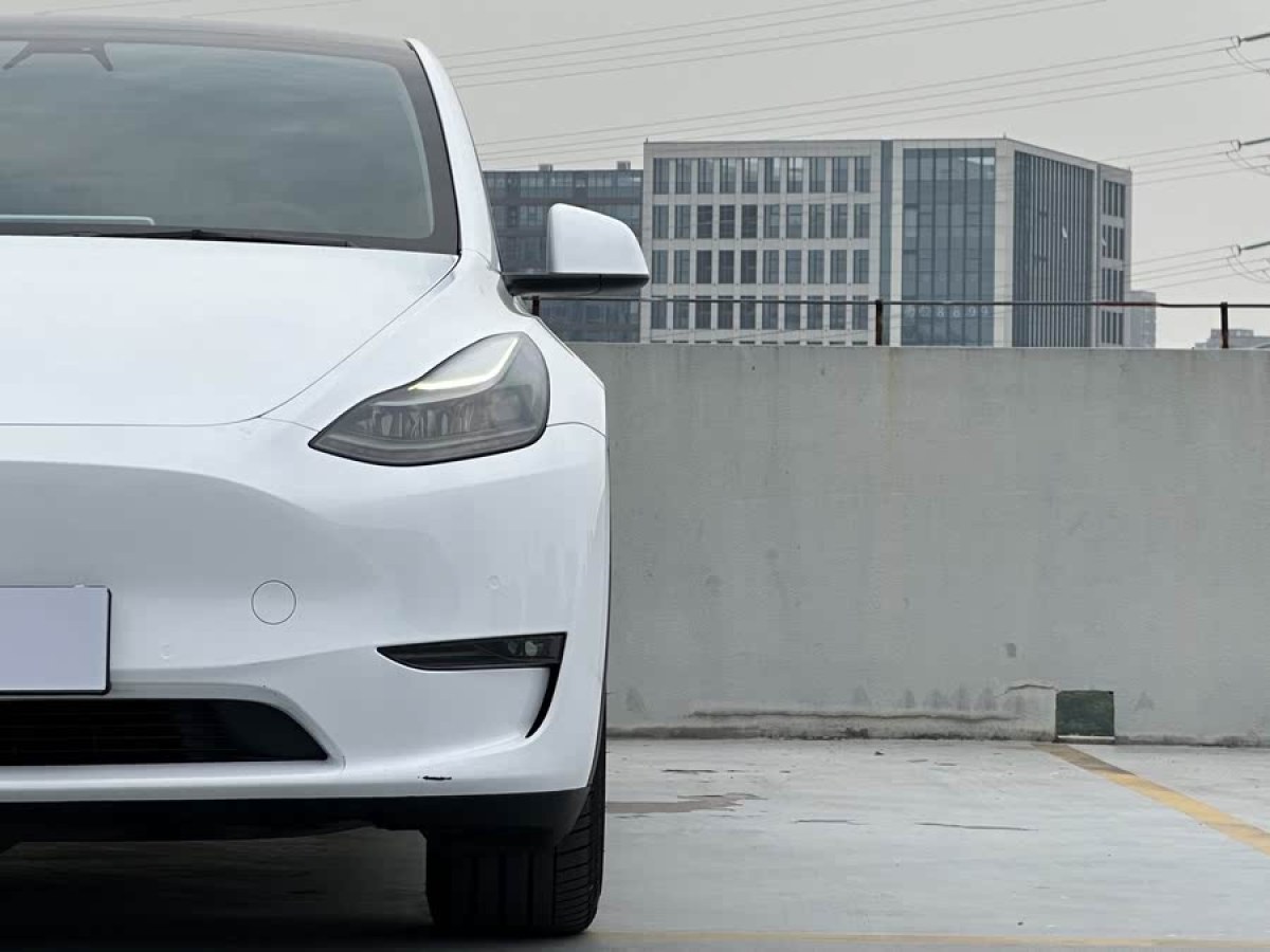 特斯拉 Model Y  2021款 標準續(xù)航后驅(qū)版圖片