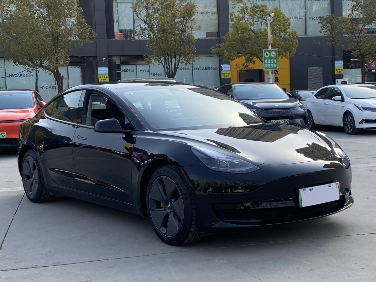 特斯拉 Model 3  2019款 標(biāo)準(zhǔn)續(xù)航后驅(qū)升級(jí)版圖片