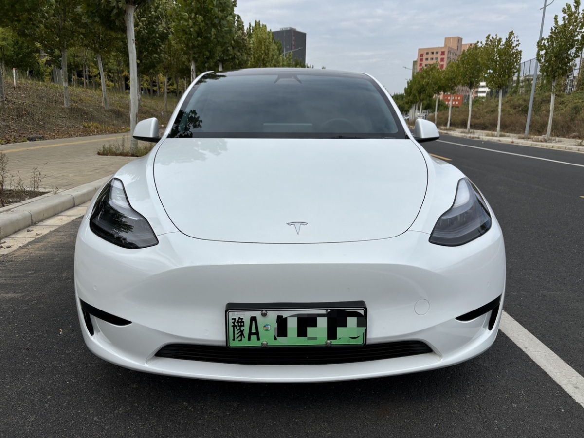 2023年3月特斯拉 Model 3  2022款 改款 后輪驅動版