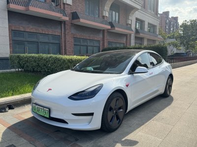 2022年3月 特斯拉 Model 3 改款 后轮驱动版图片