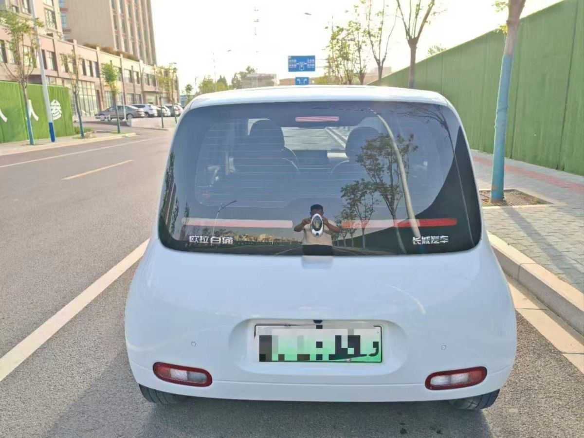 歐拉 歐拉白貓  2020款 305km 公務(wù)版圖片