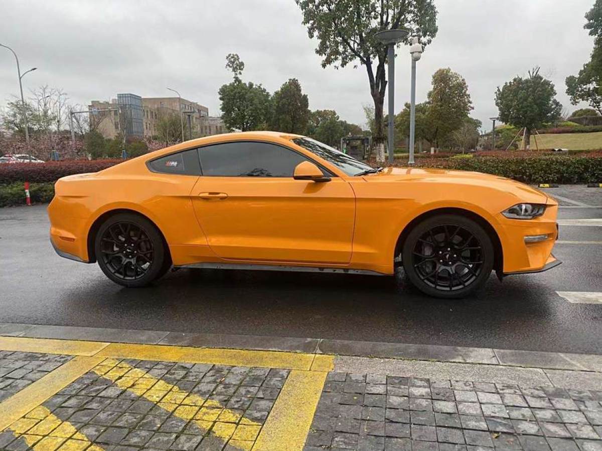 福特 Mustang  2019款 2.3L EcoBoost圖片