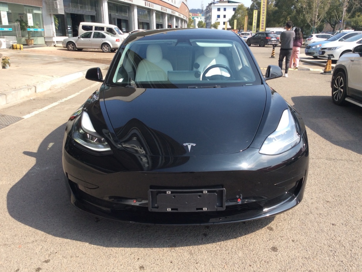 特斯拉 Model 3  2022款 改款 后輪驅(qū)動版圖片