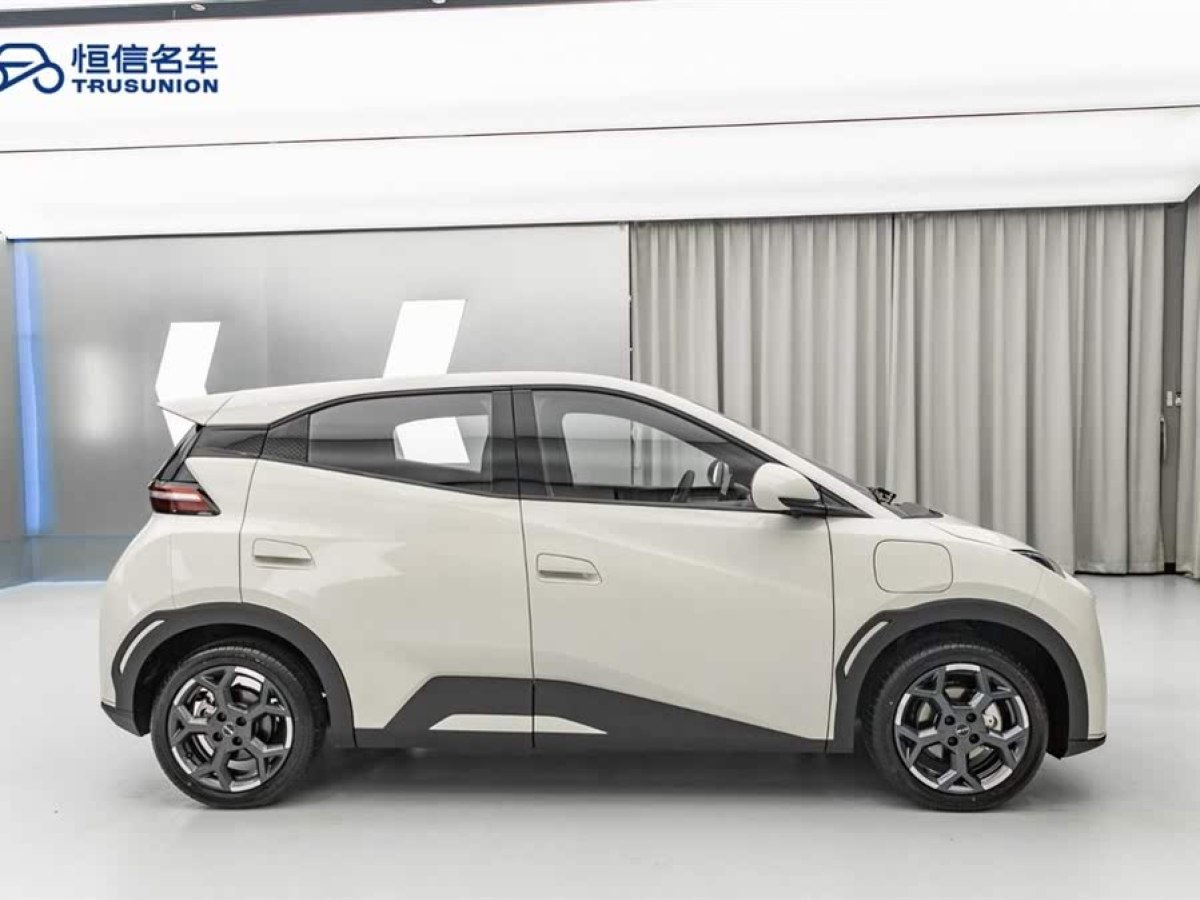 比亞迪 海鷗  2024款 榮耀版 305km 自由版圖片