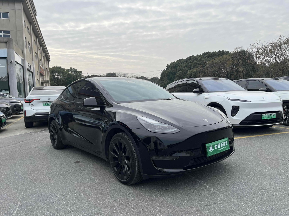 特斯拉 Model 3  2021款 改款 標(biāo)準(zhǔn)續(xù)航后驅(qū)升級版圖片