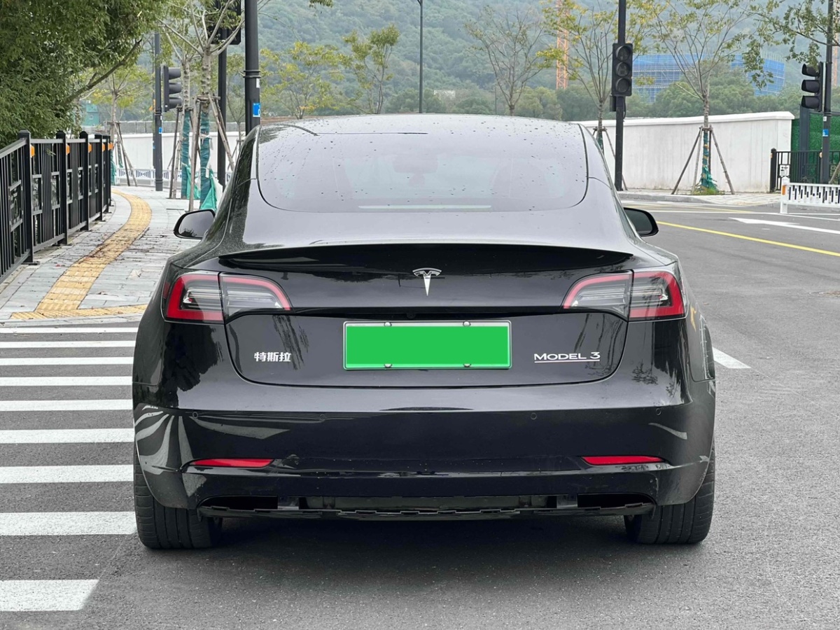 特斯拉 Model 3  2022款 Performance高性能全輪驅(qū)動版圖片