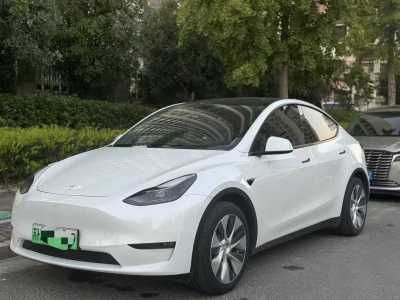 2021年9月 特斯拉 Model Y 改款 標(biāo)準(zhǔn)續(xù)航后驅(qū)升級(jí)版圖片