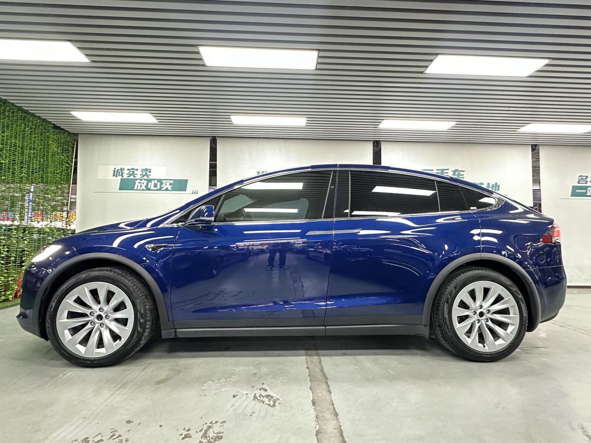 特斯拉 Model X  2017款 Model X 100D 長續(xù)航版圖片