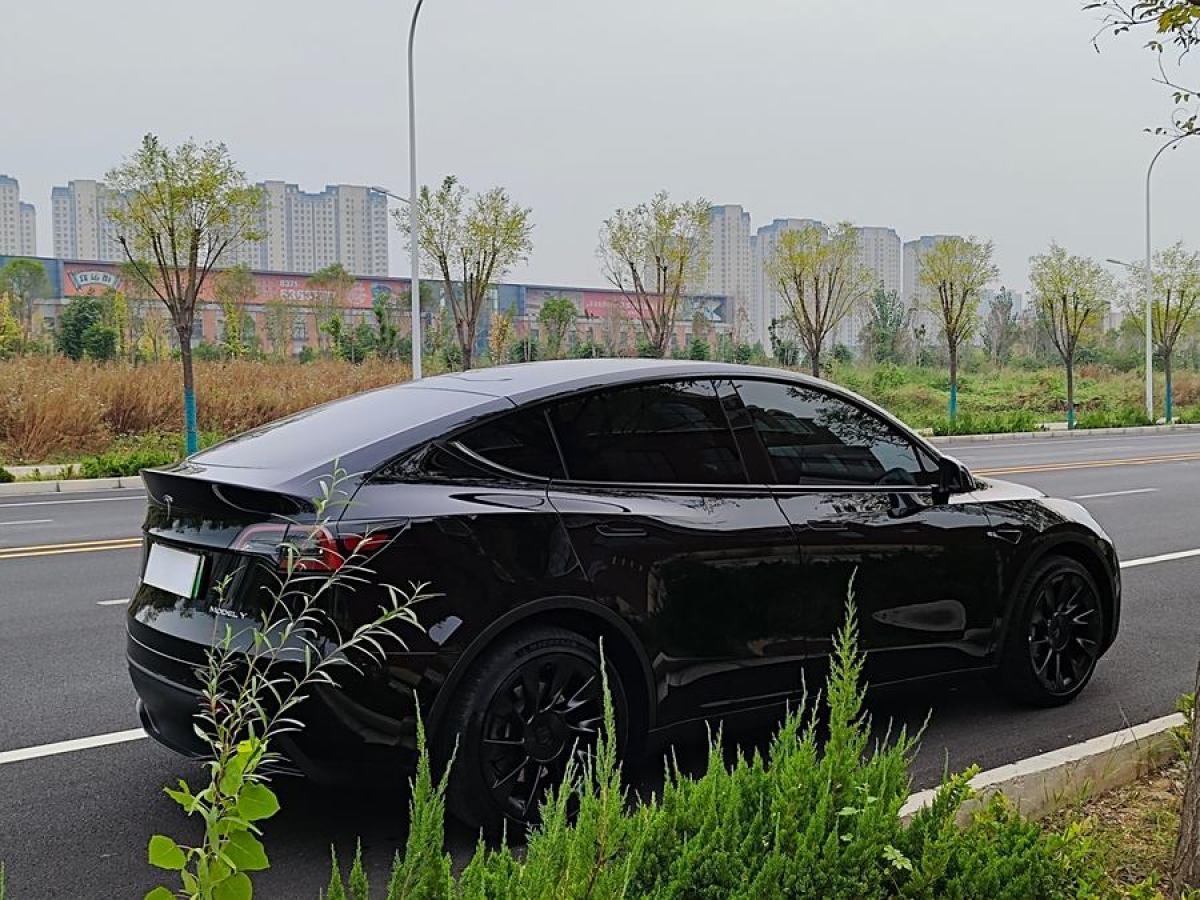 特斯拉 Model Y  2020款 改款 長續(xù)航后輪驅(qū)動(dòng)版圖片