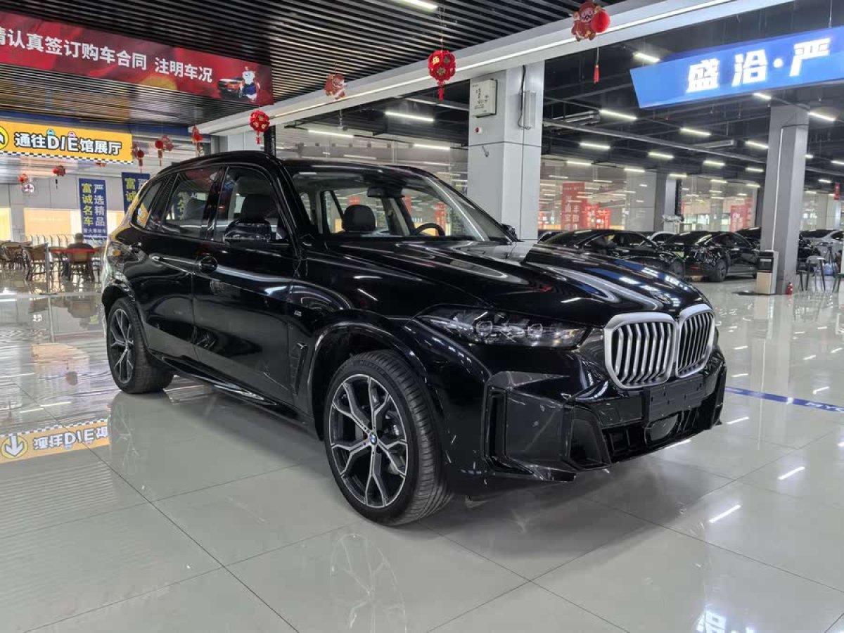 寶馬 寶馬X5  2023款 xDrive 30Li 尊享型M運(yùn)動(dòng)曜夜套裝圖片