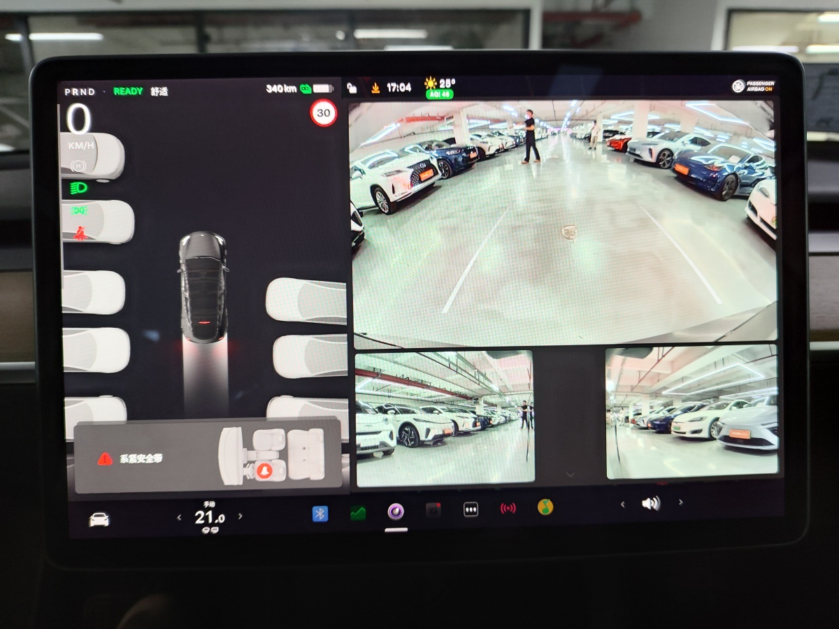 特斯拉 Model Y  2021款 標(biāo)準(zhǔn)續(xù)航后驅(qū)版圖片