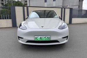Model Y 特斯拉 Performance高性能版