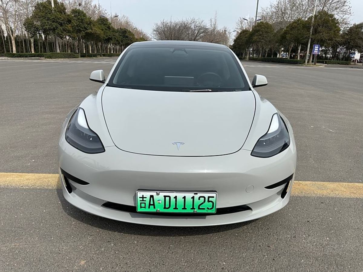 特斯拉 Model 3  2021款 改款 標(biāo)準(zhǔn)續(xù)航后驅(qū)升級(jí)版圖片