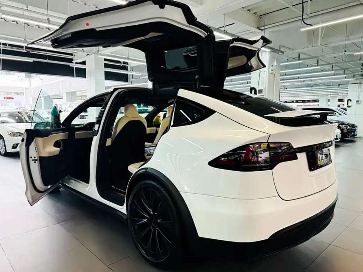 2023年5月特斯拉 Model X  2023款 雙電機(jī)全輪驅(qū)動版