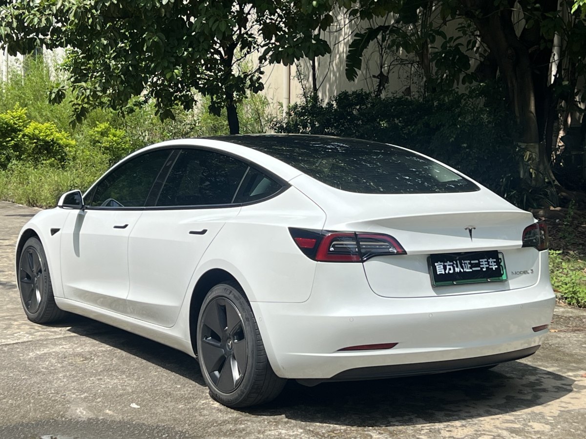 特斯拉 Model 3  2019款 標(biāo)準(zhǔn)續(xù)航后驅(qū)升級(jí)版圖片