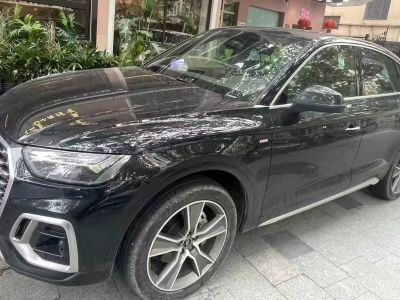 2022年1月 奧迪 奧迪Q5 e-tron 40 e-tron 星耀型 機甲套裝圖片