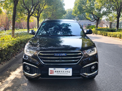 2019年1月 哈弗 H6 Coupe 藍(lán)標(biāo) 1.5T 自動兩驅(qū)豪華型圖片