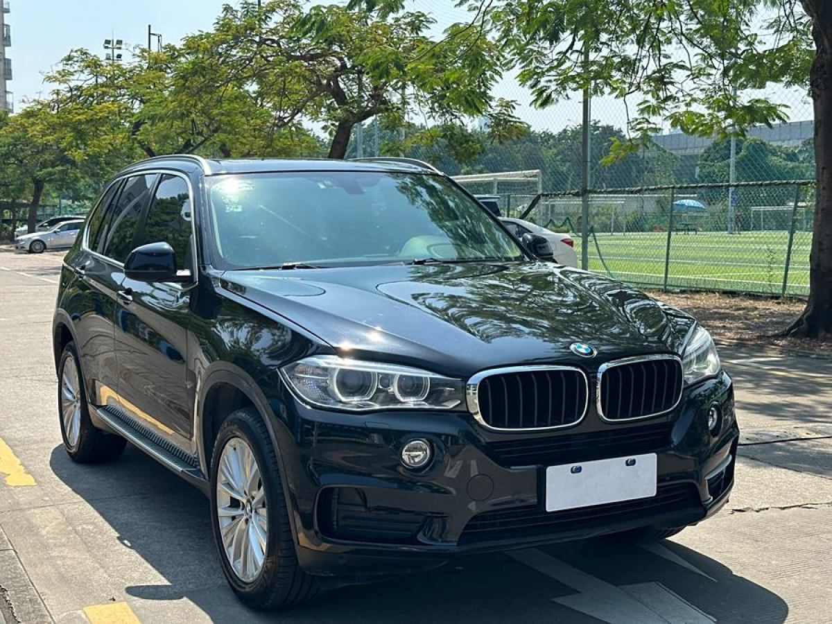 寶馬 寶馬X5  2014款 xDrive35i 領(lǐng)先型圖片