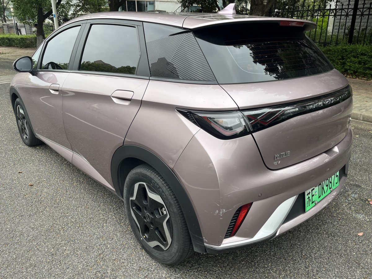 比亞迪 海豚  2021款 405km 時(shí)尚版圖片