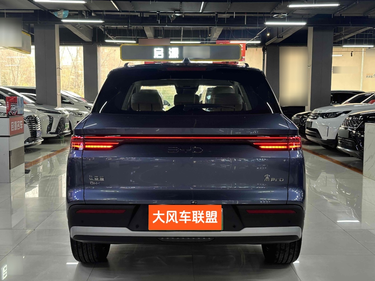 比亞迪 宋Pro新能源  2025款 DM-i 115KM卓越型圖片