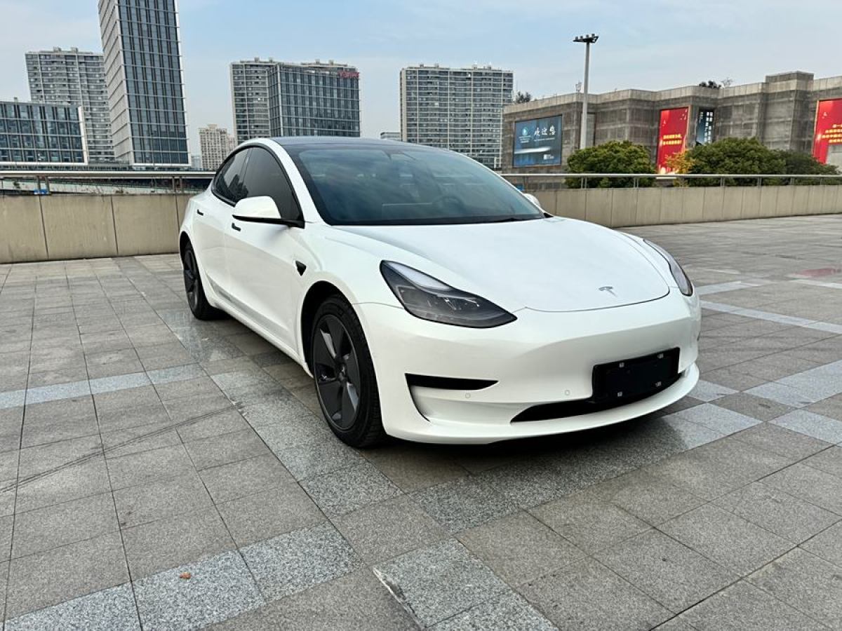 特斯拉 Model 3  2021款 改款 標(biāo)準(zhǔn)續(xù)航后驅(qū)升級版圖片