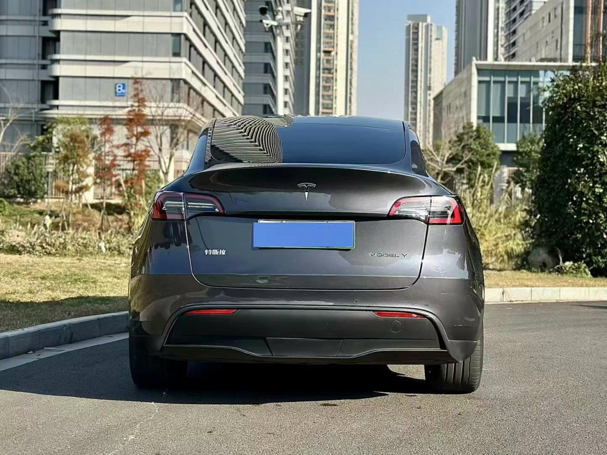 特斯拉 Model 3  2022款 Performance高性能全輪驅(qū)動版圖片