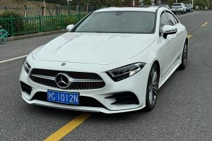 奔驰CLS级 奔驰 改款 CLS 300 动感型