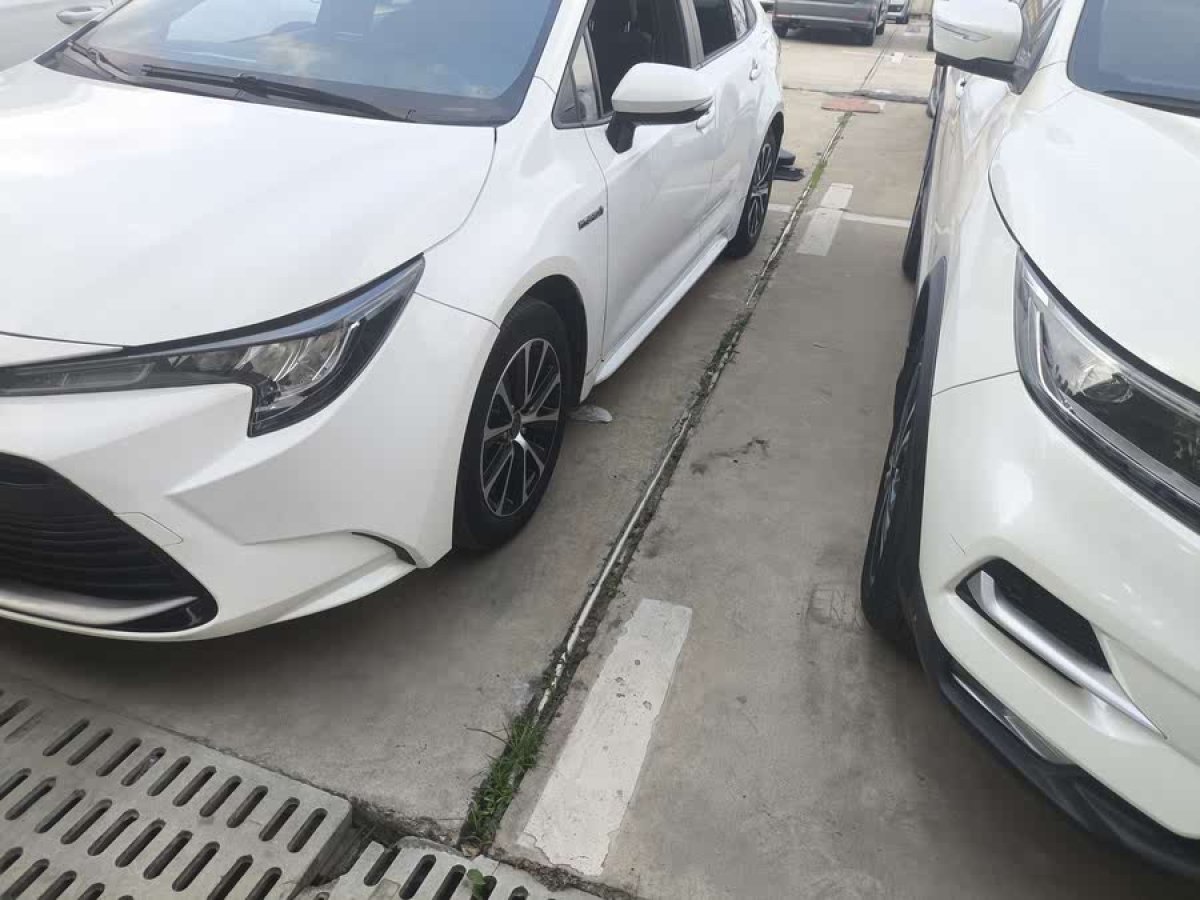 豐田 雷凌  2023款 智能電混雙擎 1.8L 領先版圖片