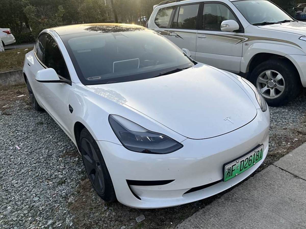 特斯拉 Model 3  2021款 改款 標(biāo)準(zhǔn)續(xù)航后驅(qū)升級(jí)版圖片