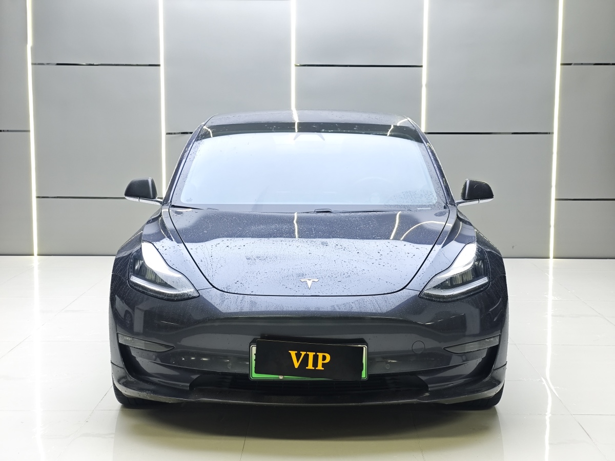 特斯拉 Model 3  2019款 標(biāo)準(zhǔn)續(xù)航后驅(qū)升級版圖片