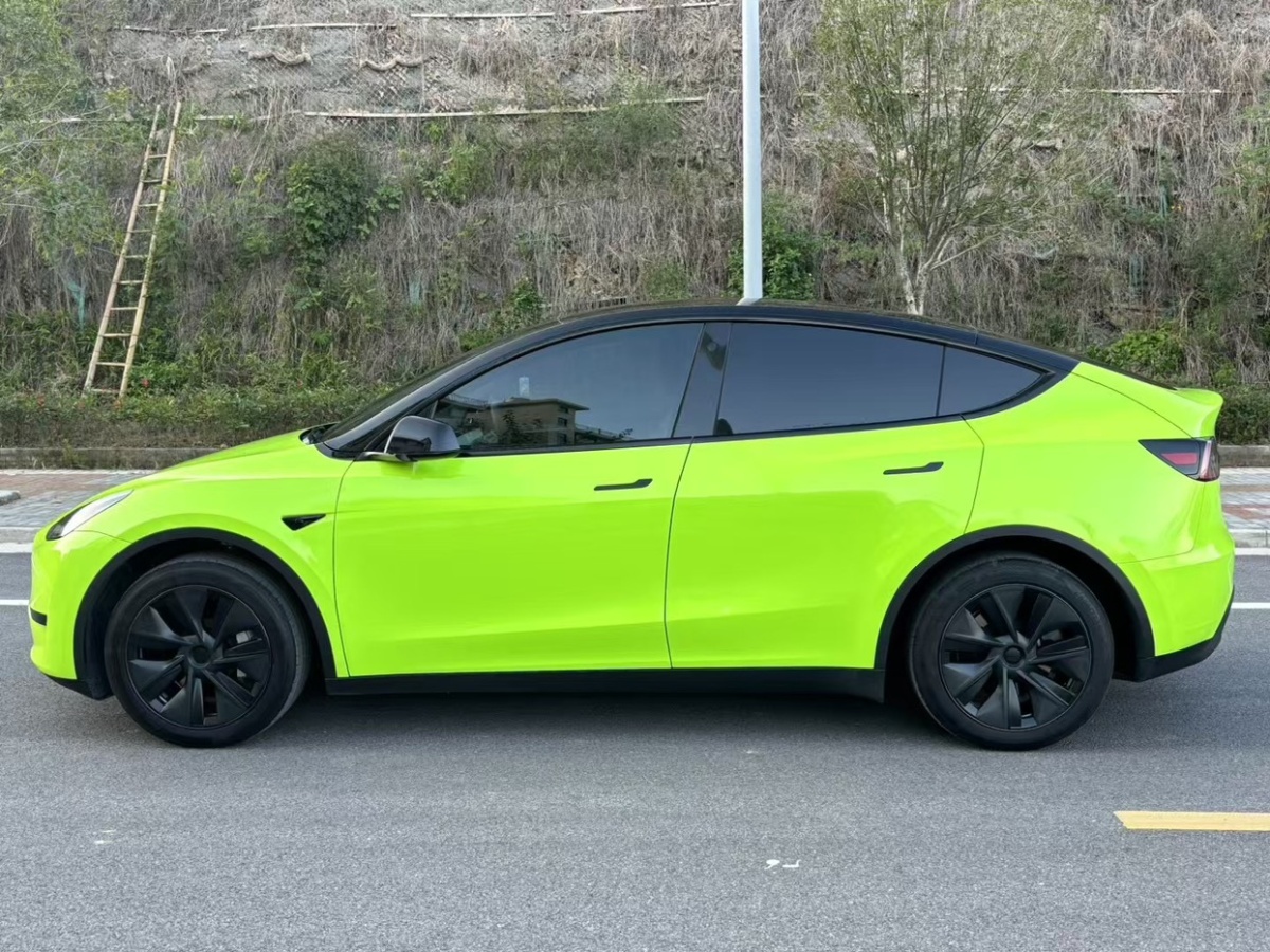 特斯拉 Model Y  2023款 后輪驅(qū)動版圖片