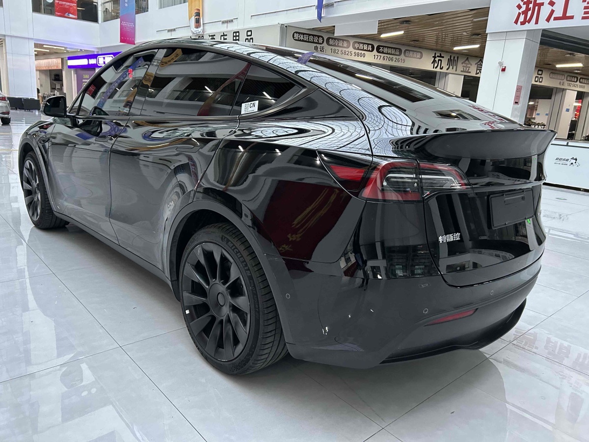 特斯拉 Model Y  2020款 改款 長(zhǎng)續(xù)航后輪驅(qū)動(dòng)版圖片