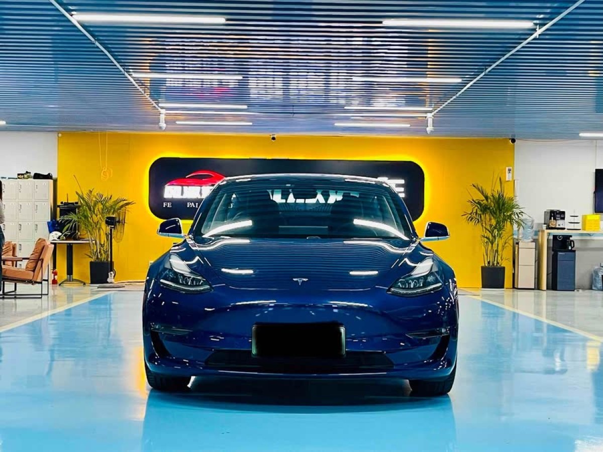特斯拉 Model 3  2020款 改款 長續(xù)航后輪驅(qū)動版圖片
