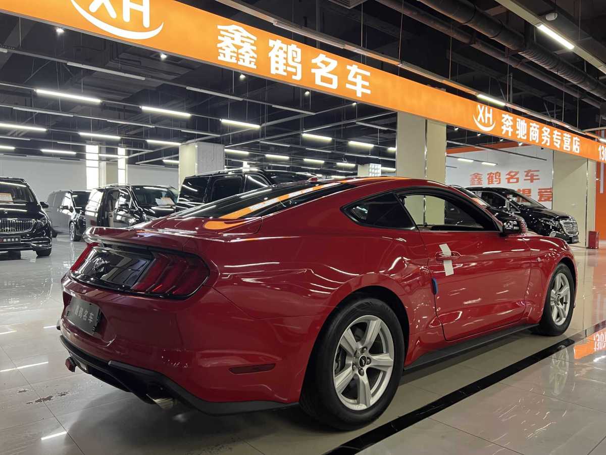 福特 Mustang  2020款 2.3L EcoBoost圖片