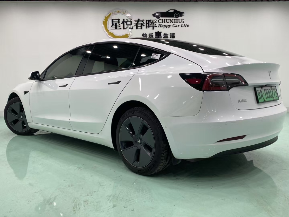 特斯拉 Model 3  2019款 標(biāo)準(zhǔn)續(xù)航后驅(qū)升級(jí)版圖片