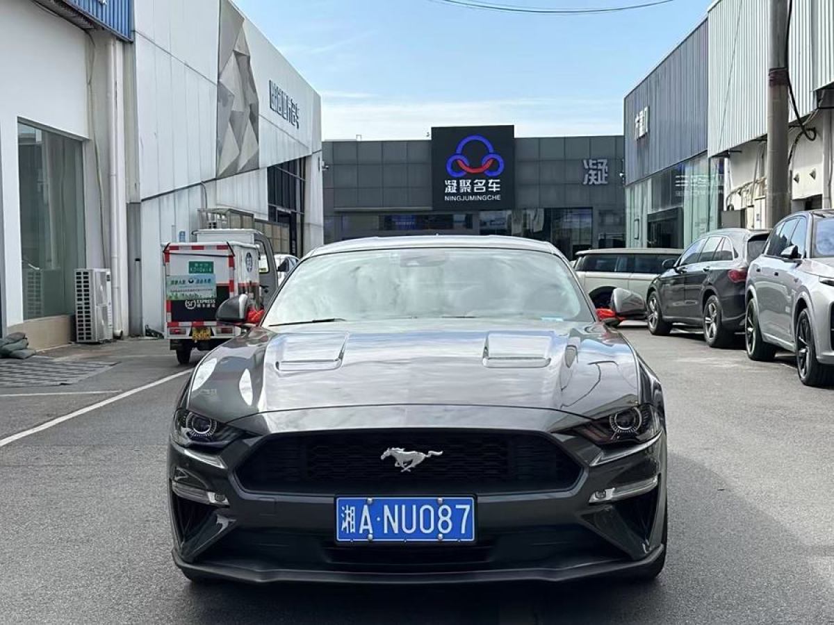 福特 Mustang  2019款 2.3L EcoBoost 性能加強(qiáng)版圖片