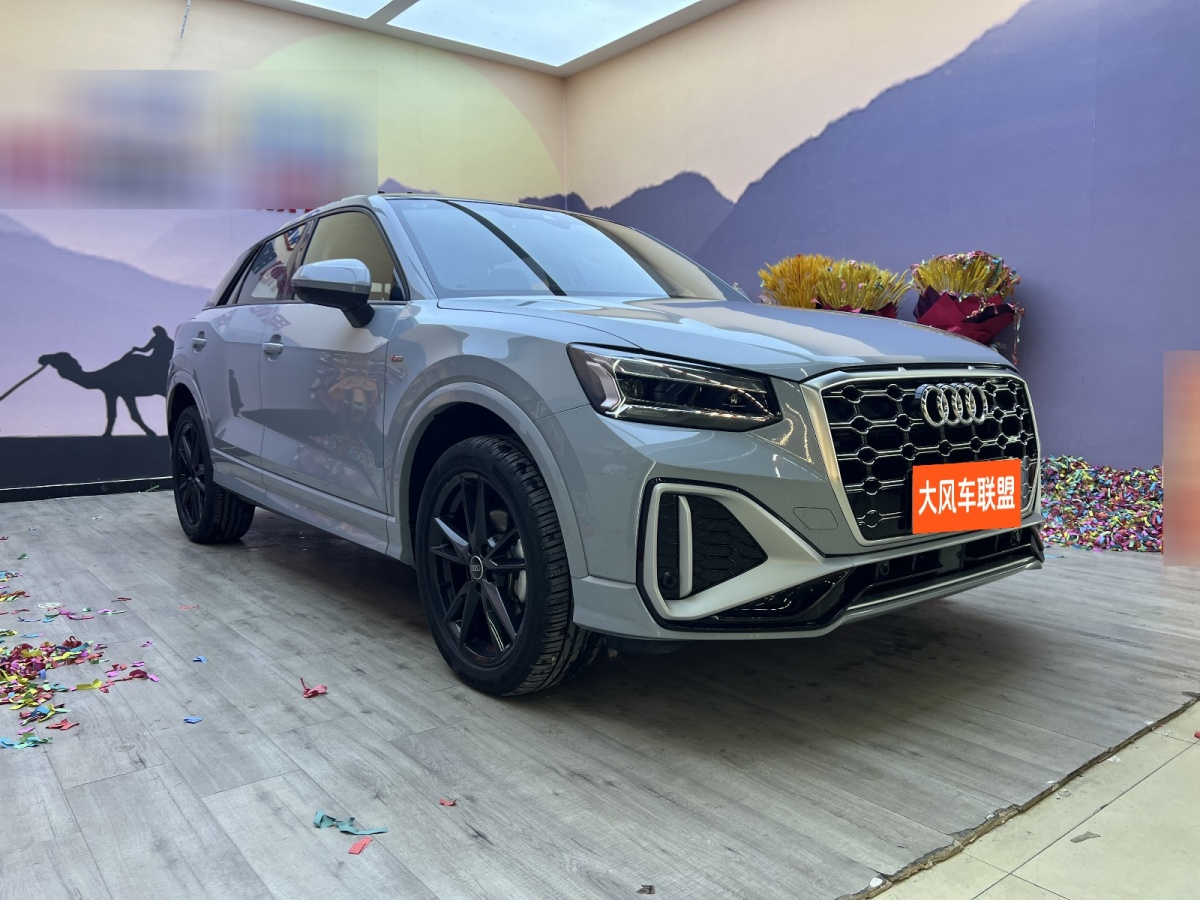 奧迪 奧迪Q2L  2018款  35TFSI 進(jìn)取動感型 國VI圖片