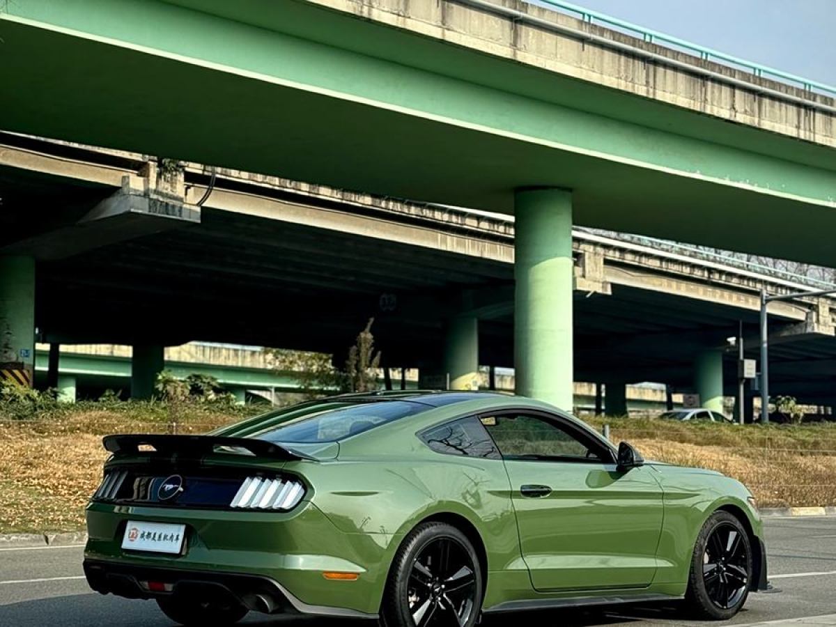 福特 Mustang  2015款 2.3T 性能版圖片