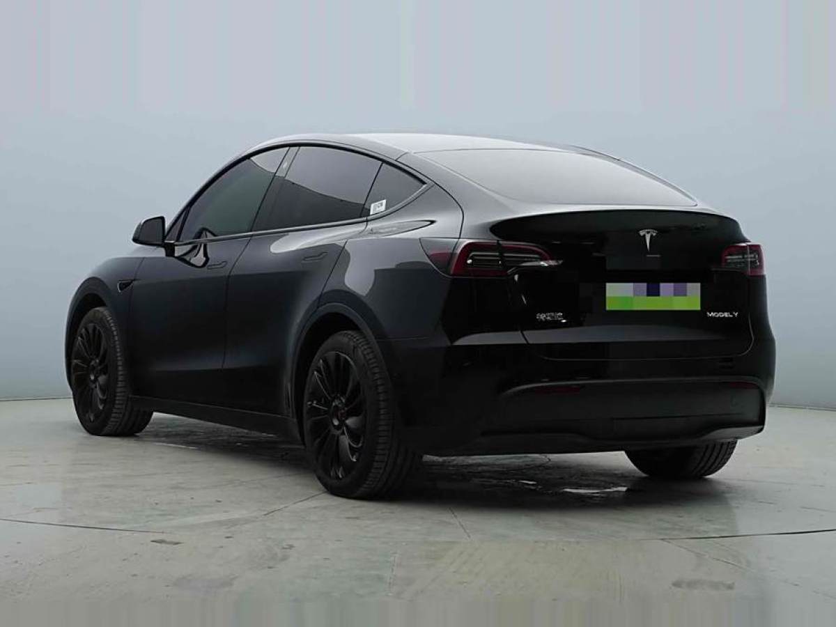 特斯拉 Model Y  2022款 后輪驅(qū)動(dòng)版圖片