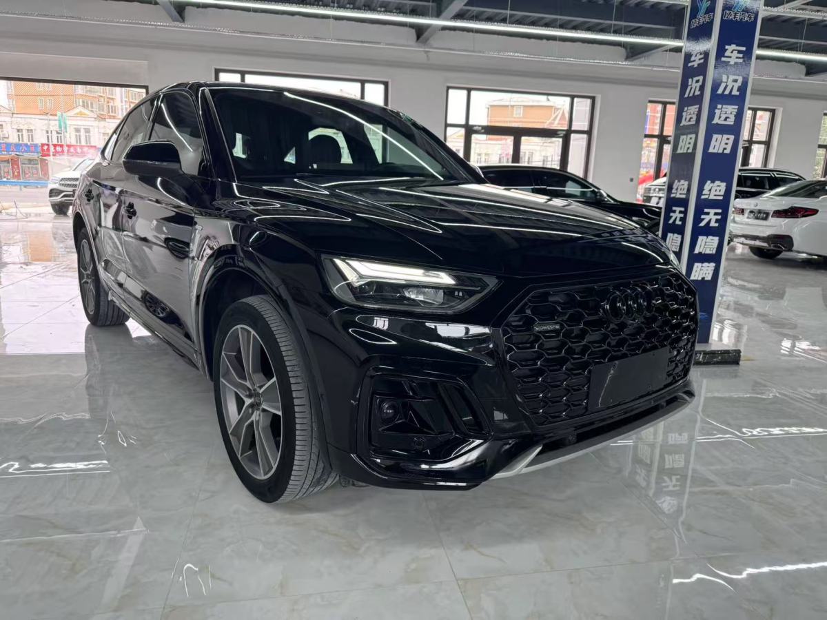 奧迪 奧迪Q5L Sportback  2023款 40 TFSI 冰雪運(yùn)動(dòng)版圖片