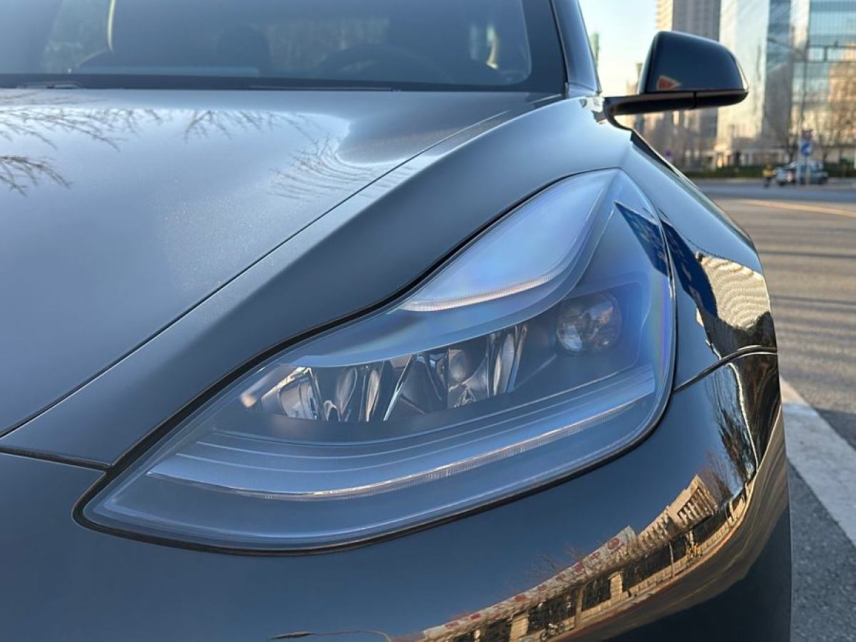 特斯拉 Model Y  2021款 Performance高性能全輪驅(qū)動版圖片