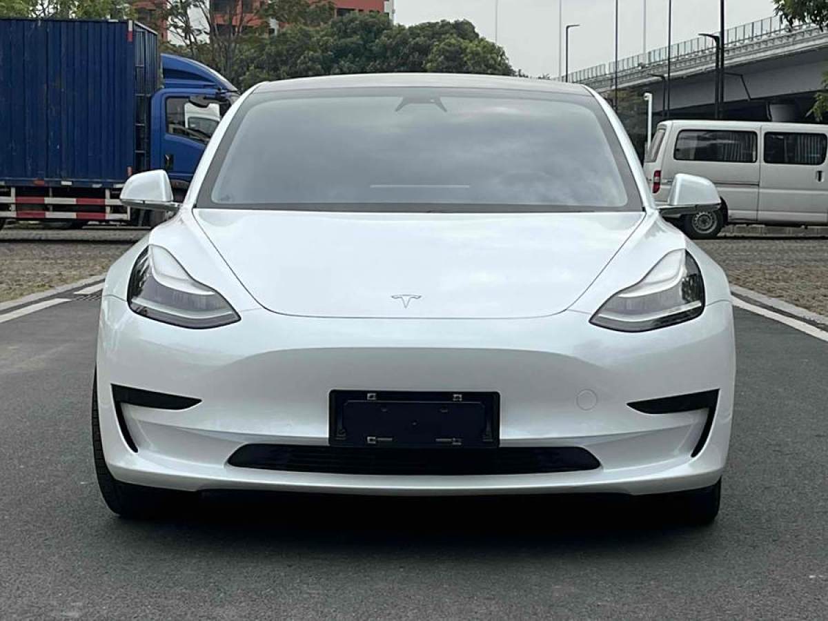 特斯拉 Model 3  2019款 標(biāo)準(zhǔn)續(xù)航后驅(qū)升級版圖片