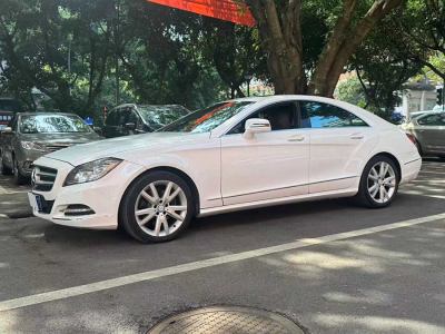 2013年3月 奔馳 奔馳CLS級(進口) CLS 300 CGI圖片