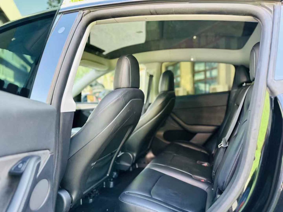 特斯拉 Model Y  2022款 Performance高性能全輪驅(qū)動(dòng)版圖片
