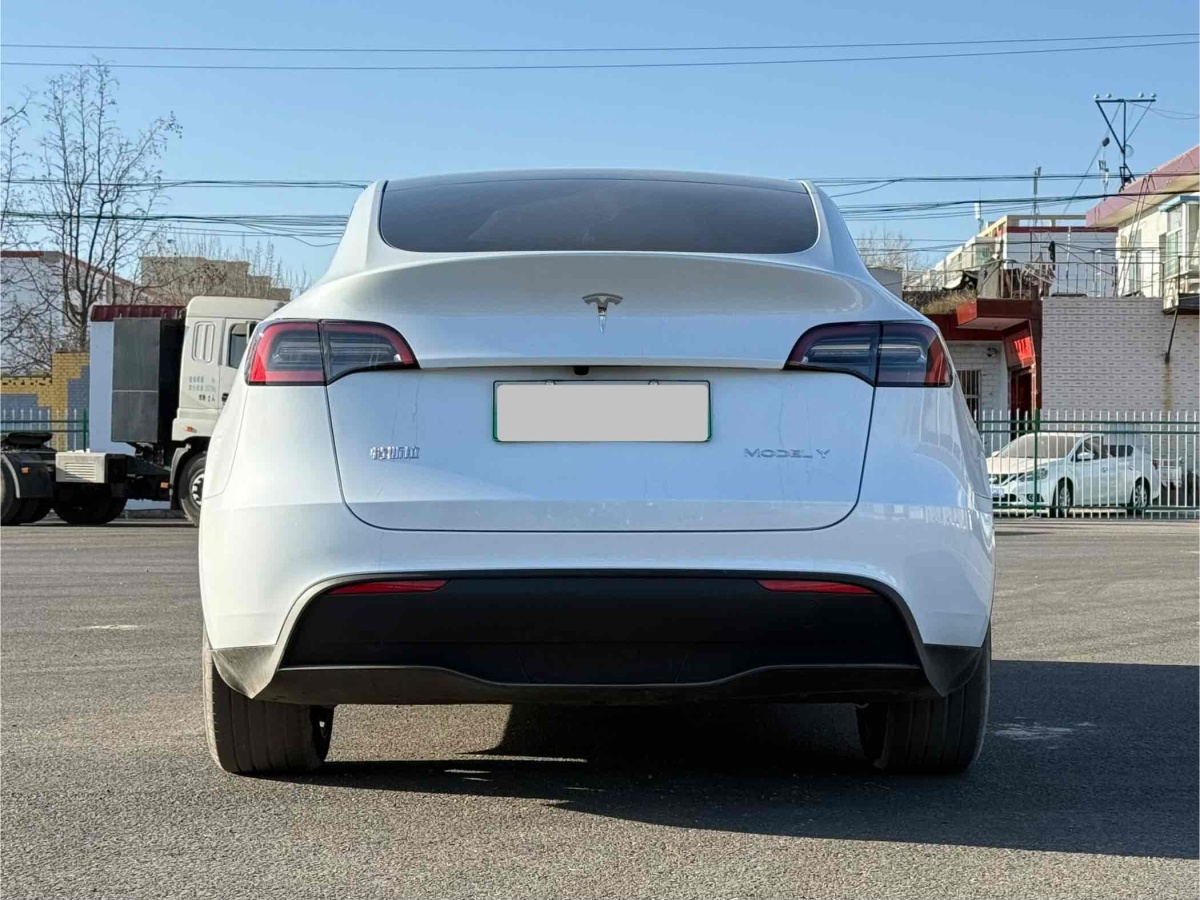 特斯拉 Model 3  2020款 改款 長(zhǎng)續(xù)航后輪驅(qū)動(dòng)版圖片