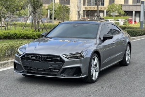 奥迪A7L 奥迪 45 TFSI quattro S-line 风骑士